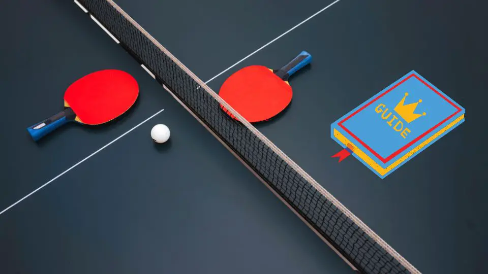 Table Tennis Equipment Paddles, Balls, and Tables